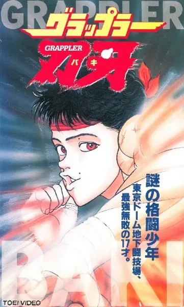 Боевой мастер