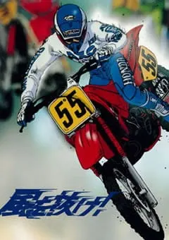 Боевой мастер