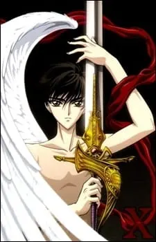 Боевой мастер