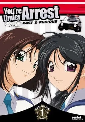 Боевой мастер